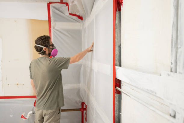 Reliable Norwood Young America, MN Mold Removal Solutions