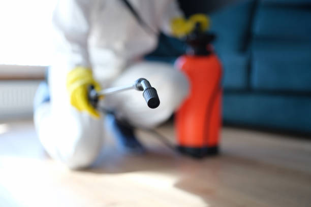 Best Mold Prevention Services  in Norwood Young America, MN
