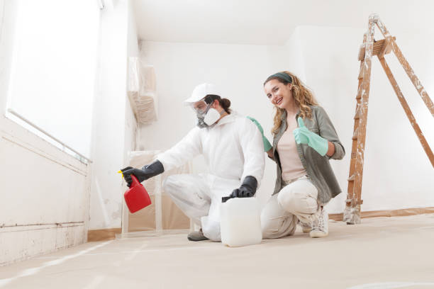 Best Mold Documentation for Insurance Claims  in Norwood Young America, MN